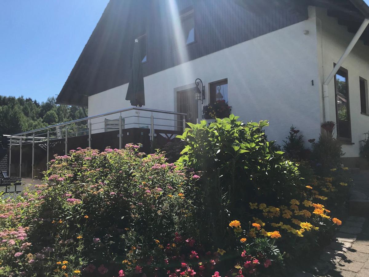올스버그 Haus Mittelberg 아파트 외부 사진